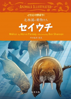 セイウチ イラストで学ぼう 北極圏の動物たち 坪田敏男 Hmv Books Online