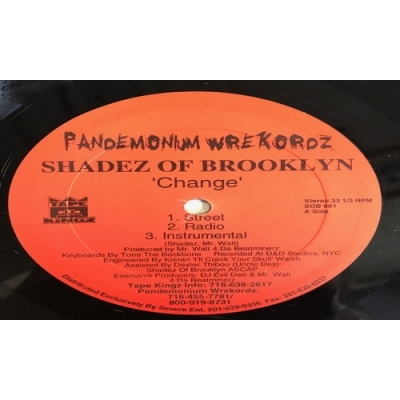 SHADEZ OF BROOKLYN　Change　レコード Shadez Of Brooklyn – Change / When It Rains It Pours
