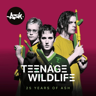 Teenage Worldlife: 25 Years Of Ash (2枚組アナログレコード) : Ash