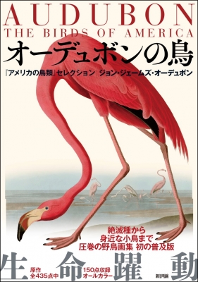 オーデュボンの鳥 アメリカの鳥類 セレクション ジョン ジェームズ オーデュボン Hmv Books Online