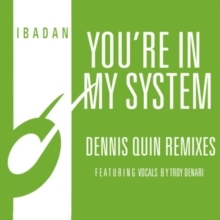 You're In My System (Dennis Quin Remixes)(12インチシングルレコード