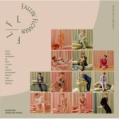 舞い落ちる花びら (Fallin' Flower)【通常盤】 : SEVENTEEN