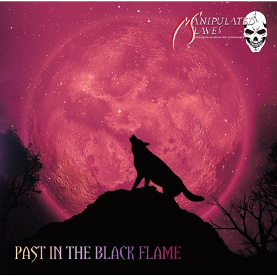 PAST IN THE BLACK FLAME