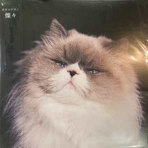 中古:盤質A】 燦々(アナログレコード) : カネコアヤノ | HMV&BOOKS