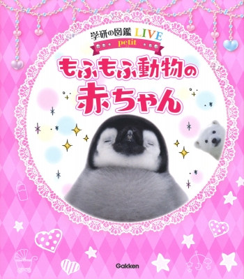 もふもふ動物の赤ちゃん 学研の図鑑LIVE for ガールズ : 小宮輝之