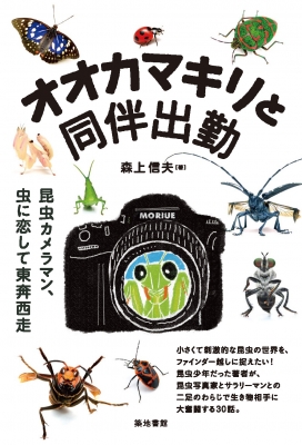 オオカマキリと同伴出勤 昆虫カメラマン 虫に恋して東奔西走 森上信夫 Hmv Books Online