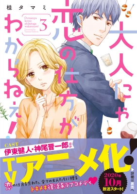 大人にゃ恋の仕方がわからねぇ! 3 CocoCheek : 桂タマミ | HMV&BOOKS