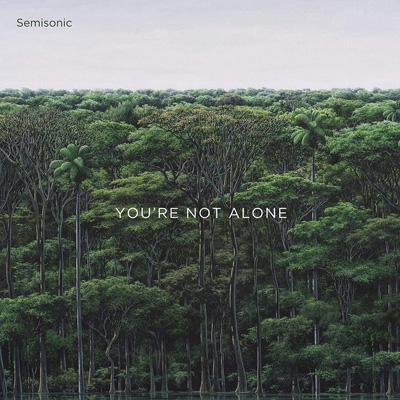 You're Not Alone : Semisonic | HMV&BOOKS online - SEMI01