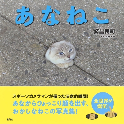 あなねこ 繁昌良司 Hmv Books Online