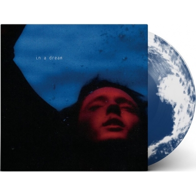 完成品 Troye Sivan LP vinyl アナログ レコード 黒 | www.italtras.com
