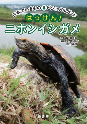 日本のいきものビジュアルガイド はっけん!ニホンイシガメ : 関慎太郎