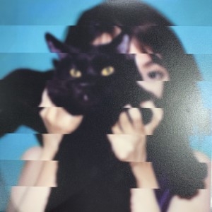 MONDO GROSSO ラビリンス LPレコード MONDO GROSSO ラビリンス LPレコード MONDO GROSSO / Mondo Grosso