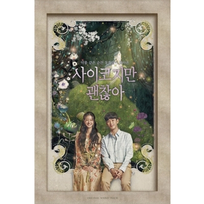 Amazon.co.jp: 韓国ドラマ【サイコだけど大丈夫】全話 DVD