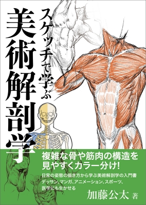 スケッチで学ぶ美術解剖学 : 加藤公太 | HMV&BOOKS online