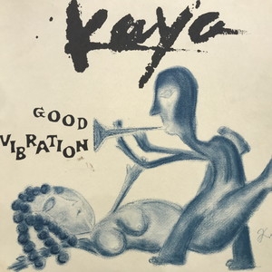 中古:盤質B】 Good Vibration : Kaya | HMV&BOOKS online - KSK4071