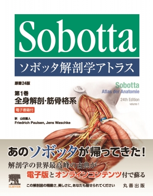 ソボッタ解剖学アトラス 英語版原書16版 第1巻 全身解剖・筋骨格系 