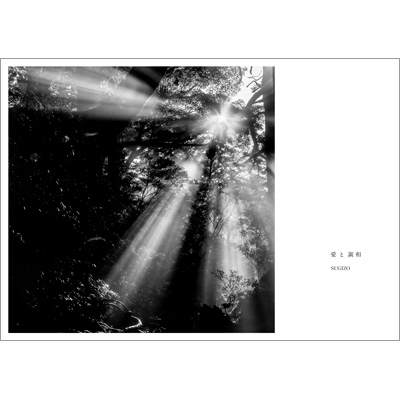 初売りセール 愛と調和 HMV&BOOKS | SEA） （LUNA SUGIZO : Edition) (Premium ポップス+ロック(邦楽)