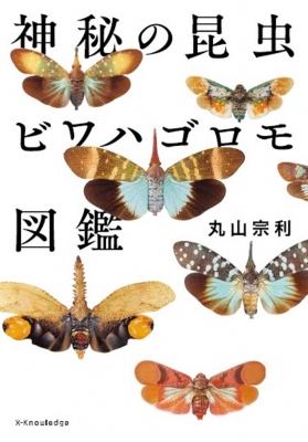 中古】 驚異的な虫の世界 01 蝶 見苦しい 中古】 驚異的な虫の世界 01 蝶 見苦しい