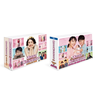 逃げるは恥だが役に立つ DVD-BOX DVD真野恵里菜 - TVドラマ