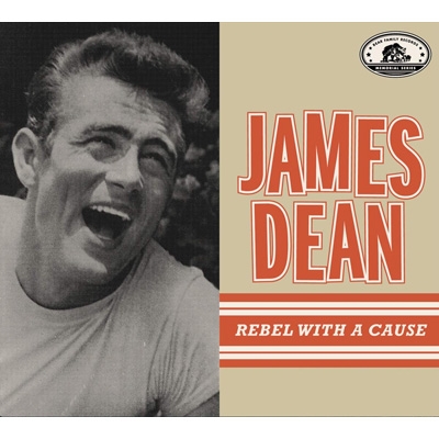 おどぎ話 REBEL WITHOUT A CAUSE LPレコード おどぎ話 REBEL WITHOUT A CAUSE LPレコード