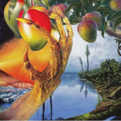 Morphology Of Wonders