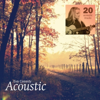 Acoustic (2枚組アナログレコード)