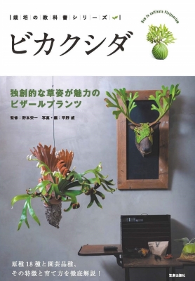ビカクシダ 独創的な草姿が魅力のビザールプランツ 栽培の教科書