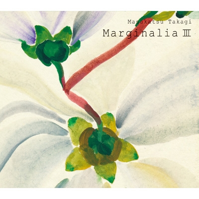 高木正勝 Marginalia LP 高木正勝 / MARGINALIA V / LP | Record CD Online Shop JET SET