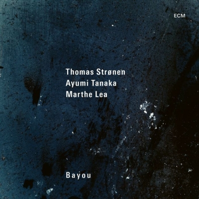 あ*お様 Bayou Bayou (アナログレコード） : Thomas Stronen | HMV&BOOKS