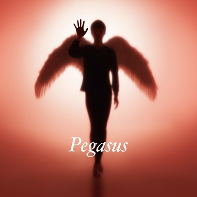 Pegasus 【初回生産限定盤】