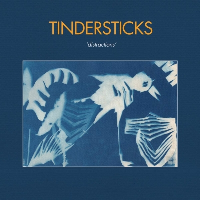 Distractions : Tindersticks | HMV&BOOKS online - LPSLANG50349LE