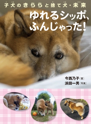 子犬のきららと捨て犬 未来 ゆれるシッポ ふんじゃった 今西乃子 Hmv Books Online