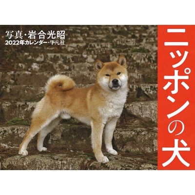 22年カレンダー ニッポンの犬 岩合光昭 Hmv Books Online