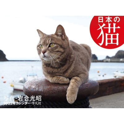 2022年カレンダー 日本の猫 : 岩合光昭 HMVu0026BOOKS online