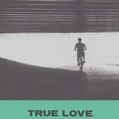 HOVVDY TRUE LOVE アナログレコード True Love (輸入盤国内仕様/帯付/アナログレコード) : Hovvdy