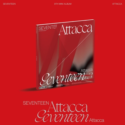 SEVENTEEN セブチ attacca ドギョム 中国 一直娯 トレカ E