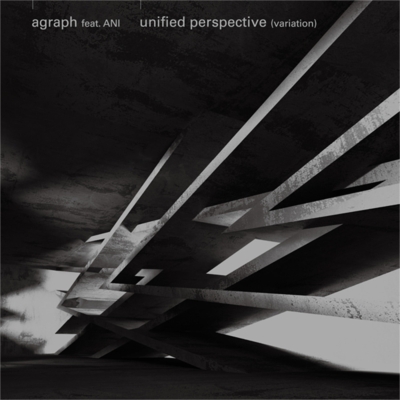 Unified Perspective (7インチシングルレコード)