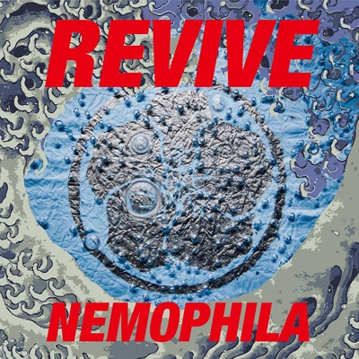 ネモフィラ Nemophila 初回限定版 1stアルバムDVD付 むらたたむ