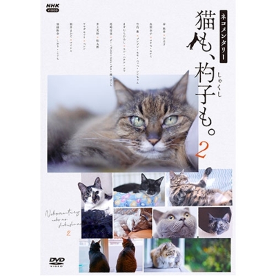 ネコメンタリー 猫も、杓子も。 2 DVD 全2枚 | HMV&BOOKS online 