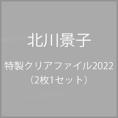 北川景子 特製クリアファイル22 2枚1セット 北川景子 Hmv Books Online