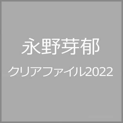 永野芽郁 クリアファイル 2022 : 永野芽郁 | HMV&BOOKS online