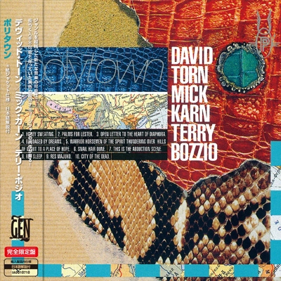 Polytown ＜紙ジャケット＞【帯・解説付き国内仕様輸入盤】 : David
