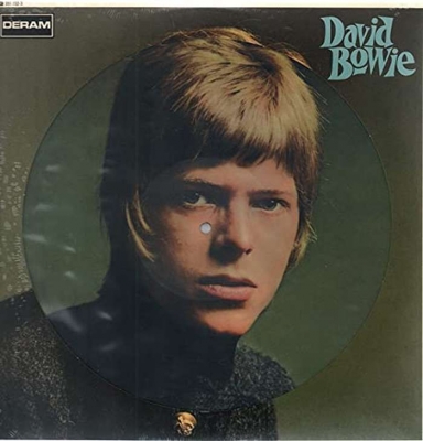 DAVID BOWIE / 英国直輸入ピクチャーEPレコード 10枚組 限定品-