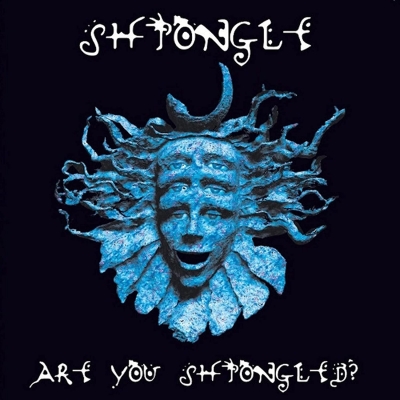 【廃盤】SHPONGLE 「ARE YOU SHPONGLED?」レコード Are You Shpongled? (3枚組アナグレコード) : Shpongle