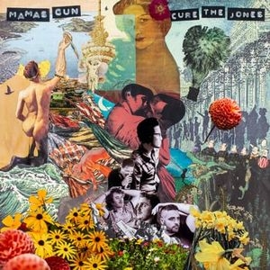 国内正規□ レア!新品!Mamas Gun『Cure the Jones』レコード LP