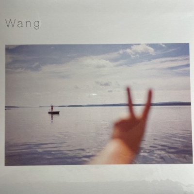 中古:盤質A】 Wang LP : 王舟 | HMV&BOOKS online - PEJF91005