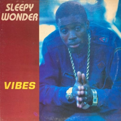 sleepy wonder 販売 vibes レコード