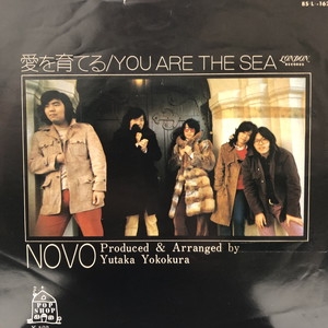 オリジナル盤　NOVO 愛を育てる/ YOU ARE THE SEA オリジナル盤NOVO 愛を育てる/ YOU ARE THE SEA