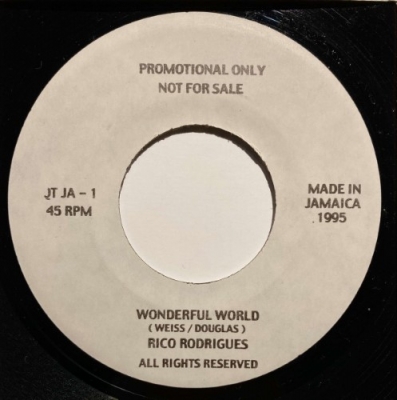 中古:盤質B】 Wonderful World : Rico Rodriguez | HMV&BOOKS online