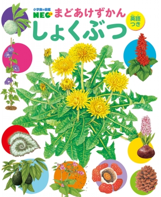小学館】植物辞典全6冊 （しょくぶつ 小学館の図鑑NEO : 塚谷